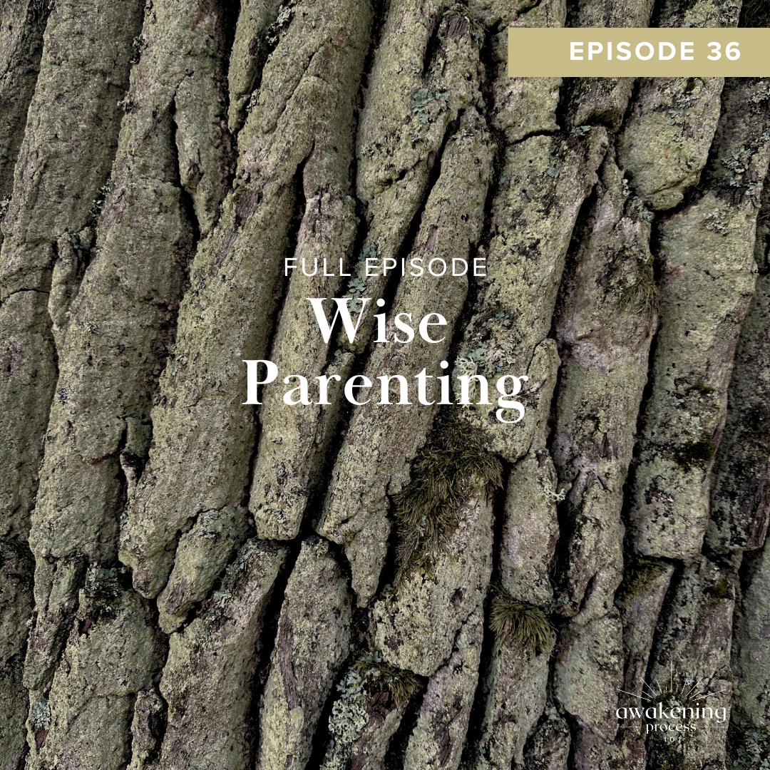 Wise Parenting Awakening 101 Podcast