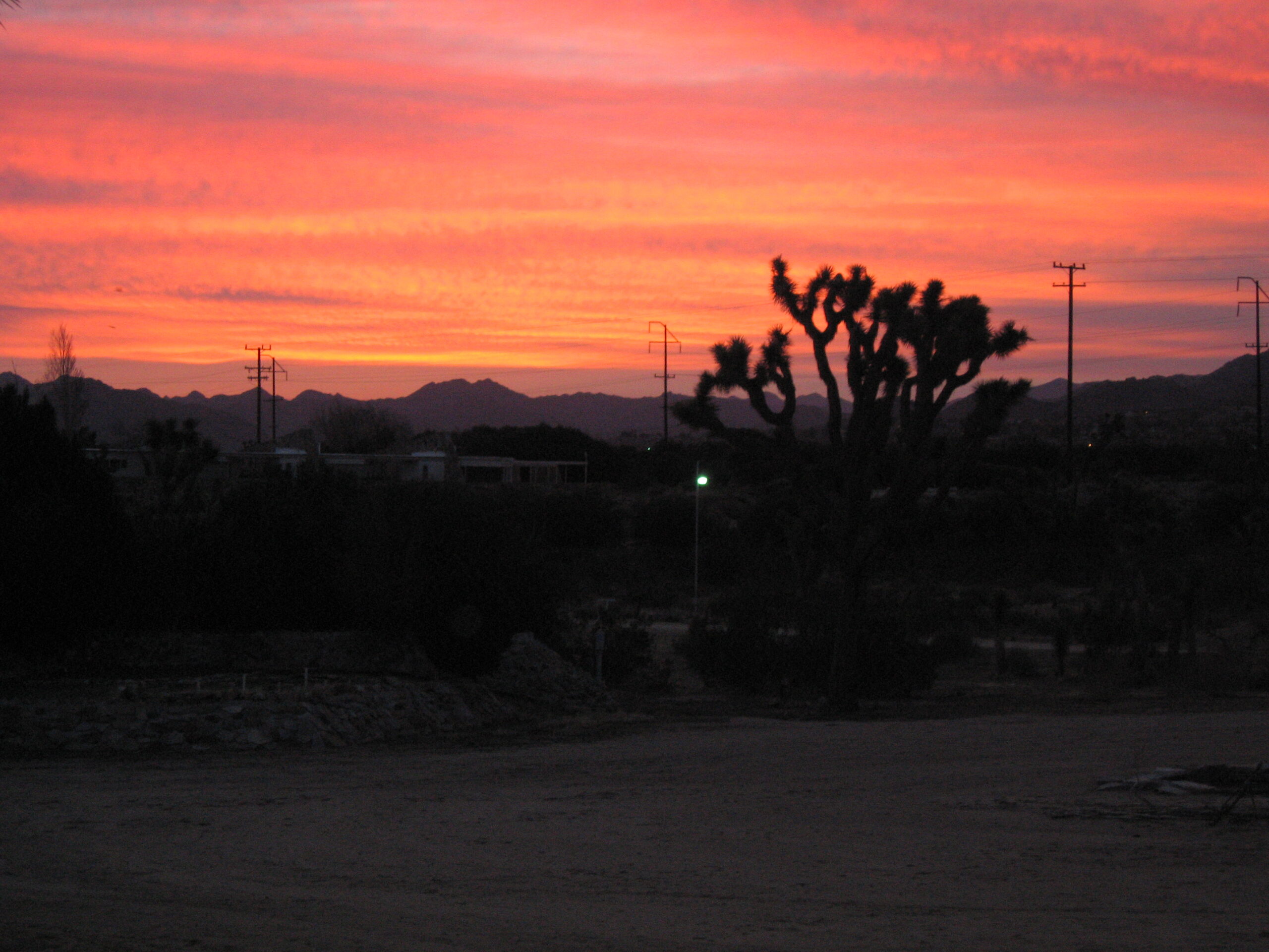 The Breath Newsletter