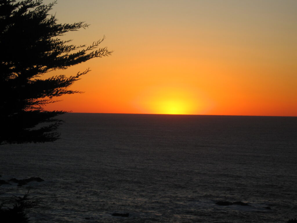 Moving Beyond Ego Newsletter