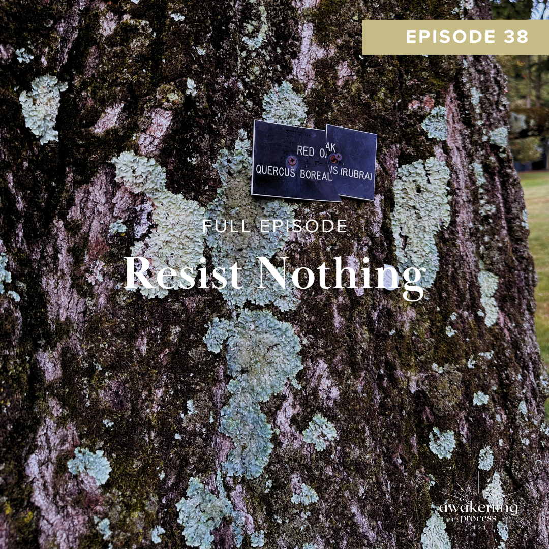 Resist Nothing